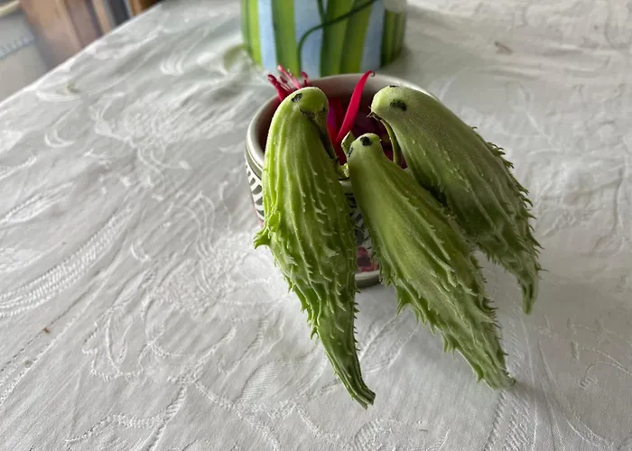 Hotel adatto agli animali: B&B Alba Sul Lago